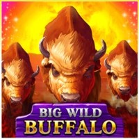 game logo by Belatra Games on run4win.eu.com