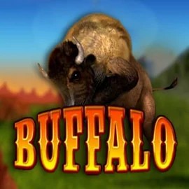 Buffalo Bingo – slot by MGA Games, featured at run4win.eu.com